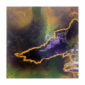 Myztriop Toile de Denis Regoin